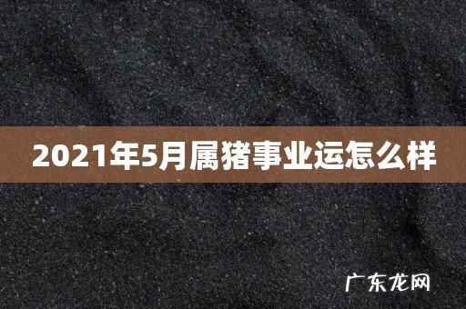 2021年5月属猪事业运怎么样