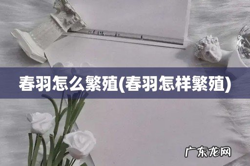 春羽怎样繁殖 春羽怎么繁殖