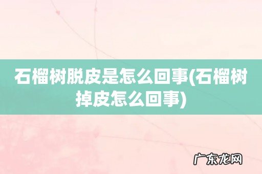 石榴树掉皮怎么回事 石榴树脱皮是怎么回事