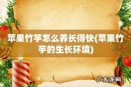 苹果竹芋的生长环境 苹果竹芋怎么养长得快