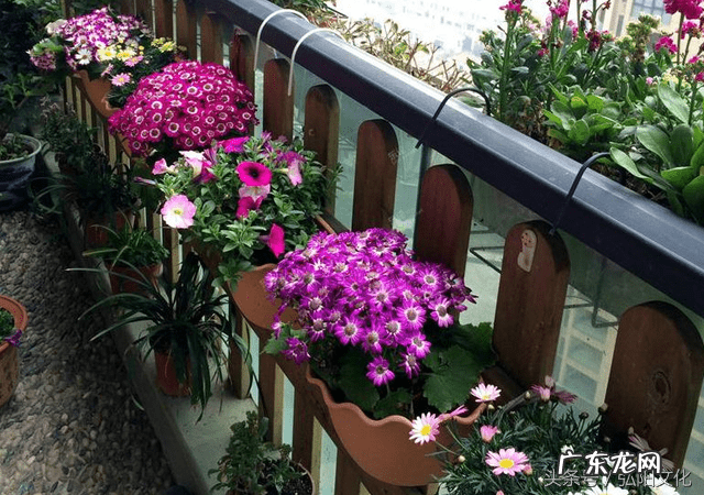 头发在风水上代表什么 头发上的风水