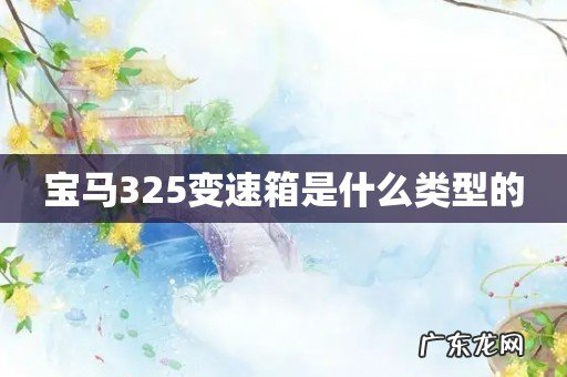 宝马325变速箱是什么类型的