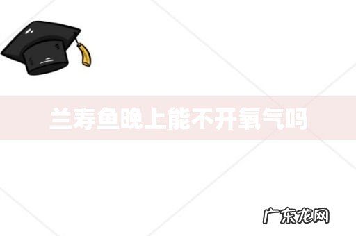 兰寿鱼晚上能不开氧气吗