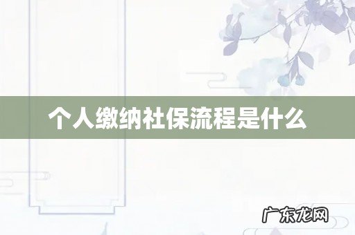 个人缴纳社保流程是什么