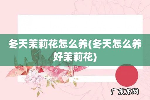 冬天怎么养好茉莉花 冬天茉莉花怎么养