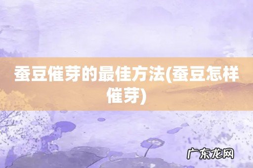 蚕豆怎样催芽 蚕豆催芽的最佳方法