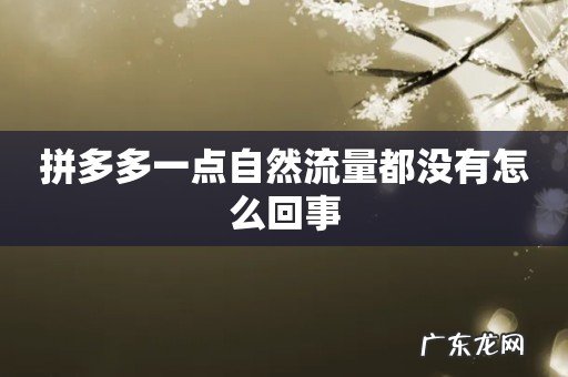 拼多多一点自然流量都没有怎么回事