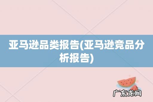 亚马逊竞品分析报告 亚马逊品类报告