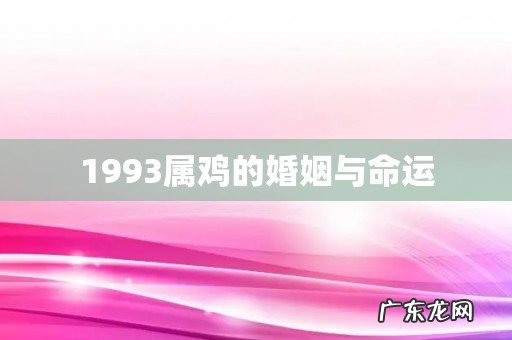 1993属鸡的婚姻与命运
