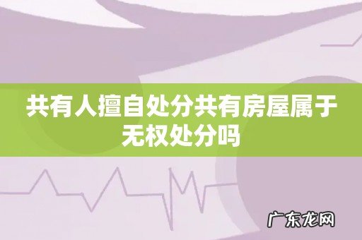 共有人擅自处分共有房屋属于无权处分吗