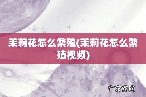 茉莉花怎么繁殖视频 茉莉花怎么繁殖