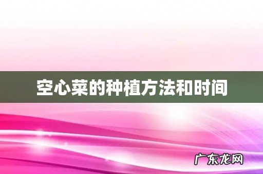 空心菜的种植方法和时间