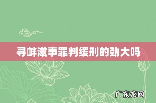 寻衅滋事罪判缓刑的劲大吗