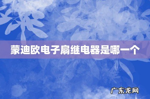 蒙迪欧电子扇继电器是哪一个
