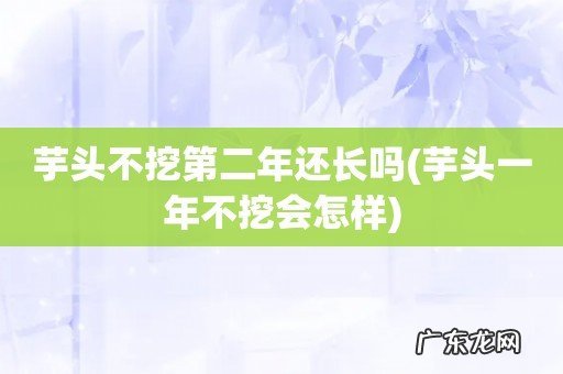 芋头一年不挖会怎样 芋头不挖第二年还长吗