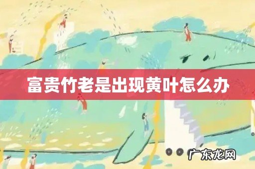 富贵竹老是出现黄叶怎么办