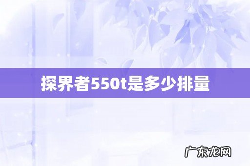 探界者550t是多少排量