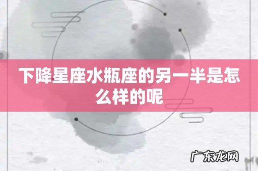 下降星座水瓶座的另一半是怎么样的呢