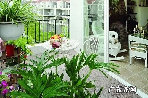 各种花代表着什么意义 花的风水寓意