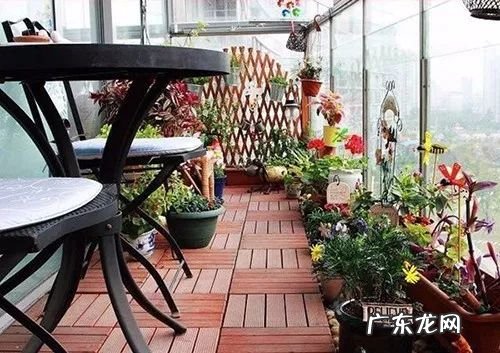 各种花代表着什么意义 花的风水寓意