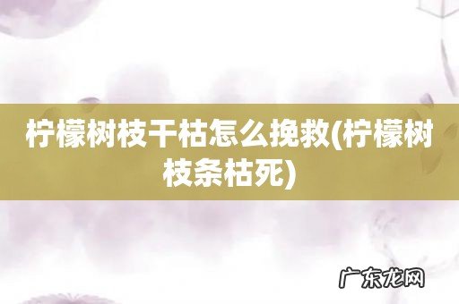 柠檬树枝条枯死 柠檬树枝干枯怎么挽救