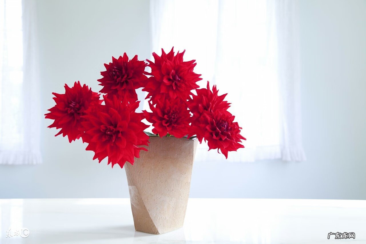 儿女大龄不婚风水 女儿嫁不出去的风水