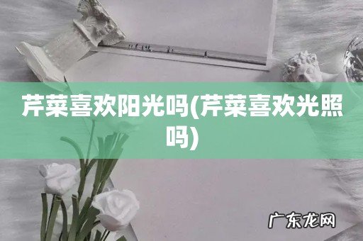 芹菜喜欢光照吗 芹菜喜欢阳光吗