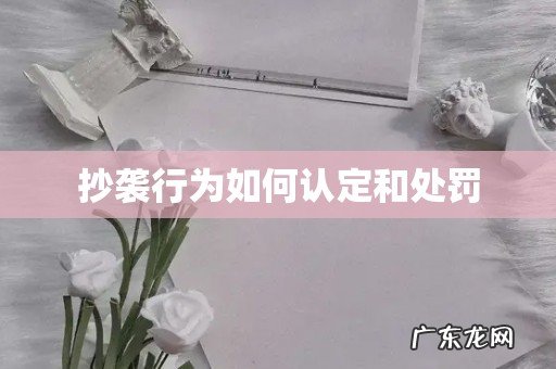 抄袭行为如何认定和处罚