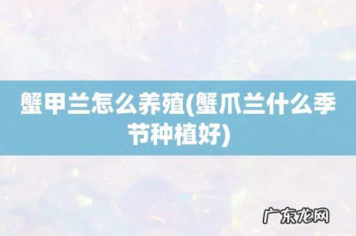 蟹爪兰什么季节种植好 蟹甲兰怎么养殖