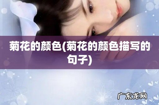 菊花的颜色描写的句子 菊花的颜色