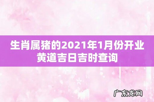 生肖属猪的2021年1月份开业黄道吉日吉时查询