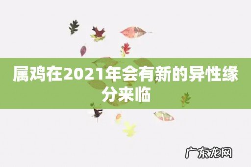 属鸡在2021年会有新的异性缘分来临