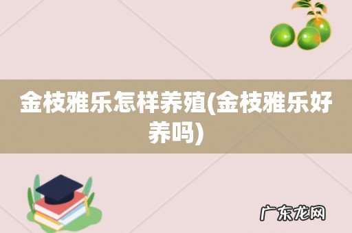 金枝雅乐好养吗 金枝雅乐怎样养殖