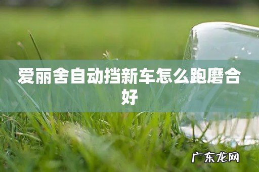 爱丽舍自动挡新车怎么跑磨合好