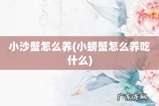 小螃蟹怎么养吃什么 小沙蟹怎么养