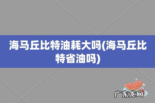 海马丘比特省油吗 海马丘比特油耗大吗