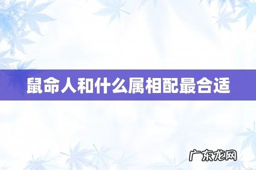 鼠命人和什么属相配最合适