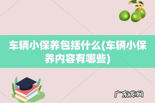 车辆小保养内容有哪些 车辆小保养包括什么