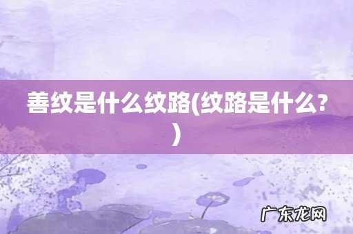 纹路是什么? 善纹是什么纹路