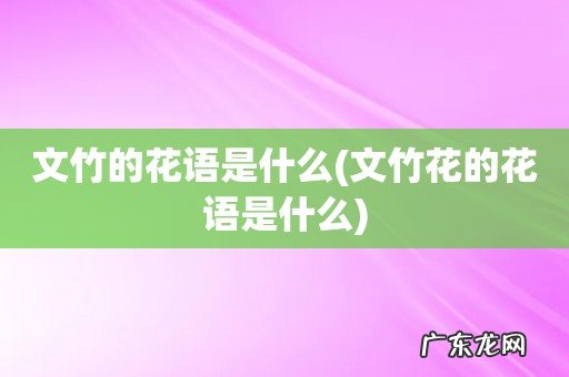 文竹花的花语是什么 文竹的花语是什么