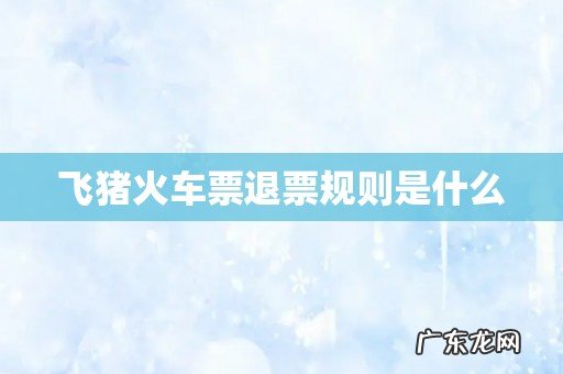 飞猪火车票退票规则是什么