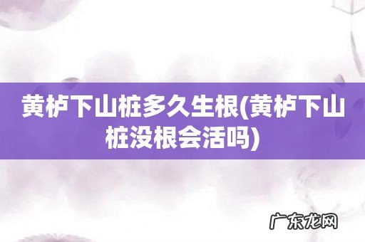黄栌下山桩没根会活吗 黄栌下山桩多久生根