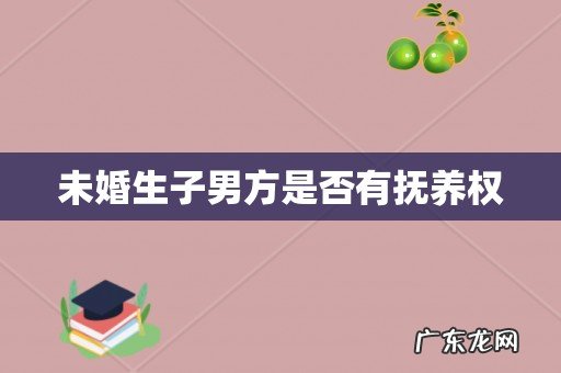 未婚生子男方是否有抚养权