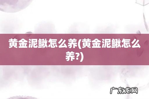 黄金泥鳅怎么养? 黄金泥鳅怎么养