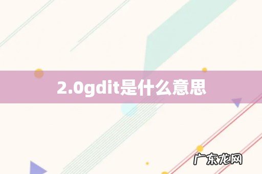 2.0gdit是什么意思