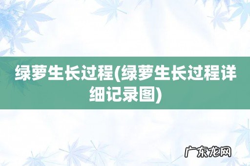 绿萝生长过程详细记录图 绿萝生长过程