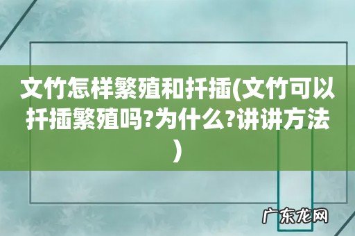 文竹可以扦插繁殖吗?为什么?讲讲方法 文竹怎样繁殖和扦插