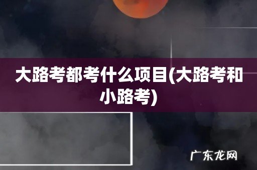 大路考和小路考 大路考都考什么项目