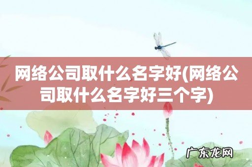网络公司取什么名字好三个字 网络公司取什么名字好