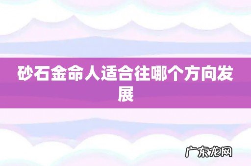 砂石金命人适合往哪个方向发展